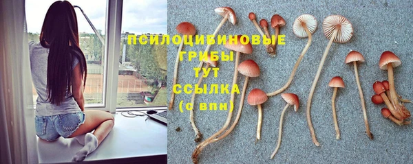 первитин Балахна