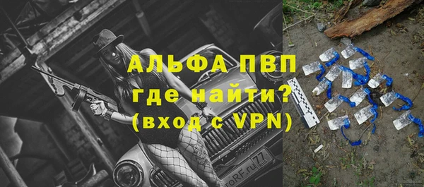 дурь Арсеньев